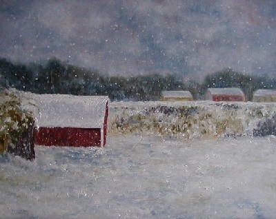 16x20TheShedCNStudio.jpg