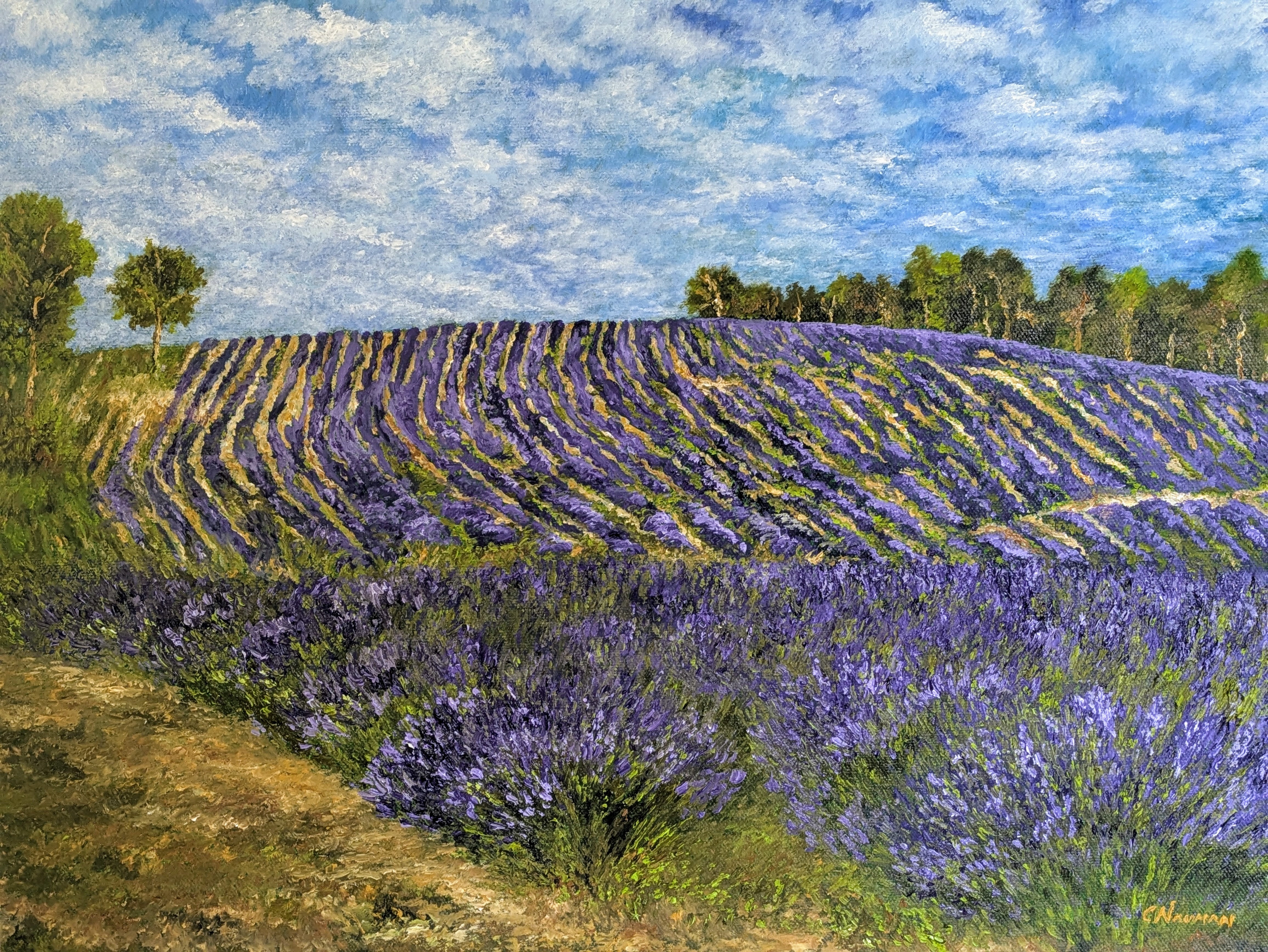 25x29LavenderFieldinProvenceCMNauman.jpg