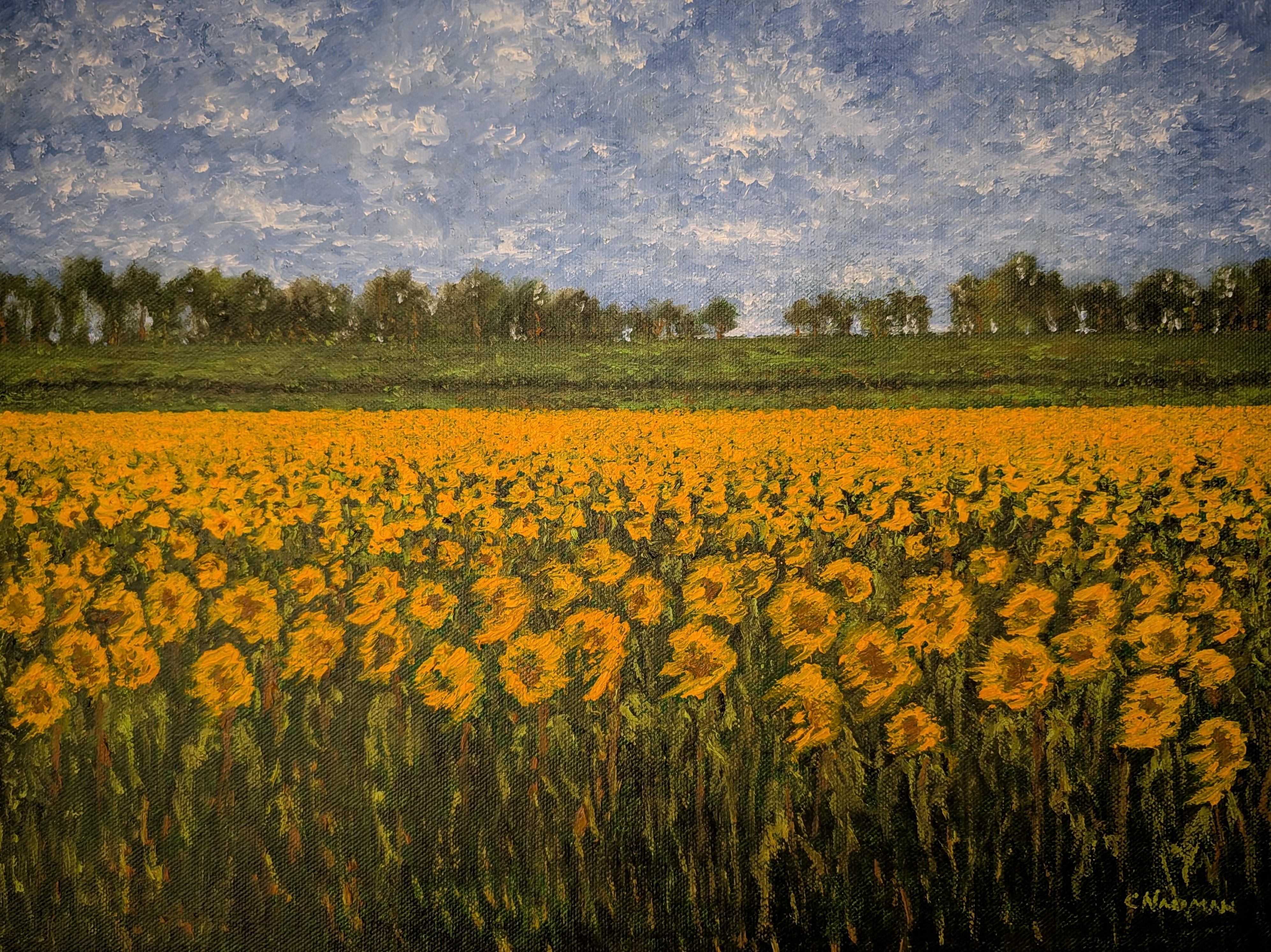 20.25x24.25SunflowersinProvenceC.Nauman.jpg